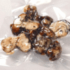 Atlantis Truffles (15g)