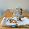 Awake Cultivation Kit™